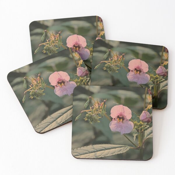 Item preview, Himalayan balsam designed and sold by xophotography.