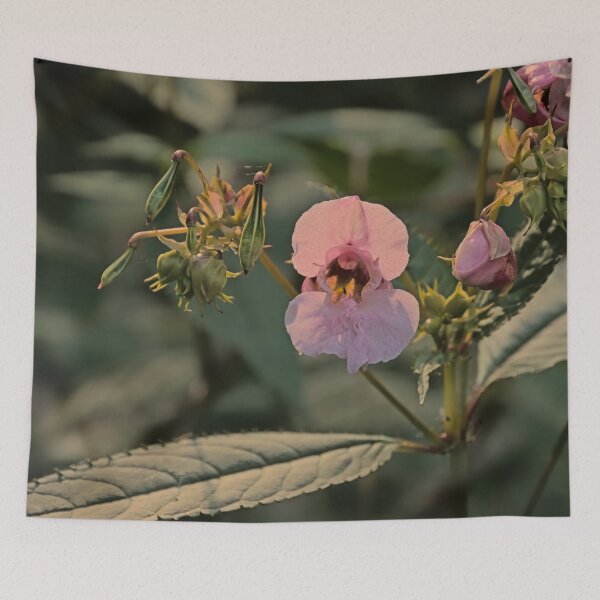 Item preview, Himalayan balsam designed and sold by xophotography.