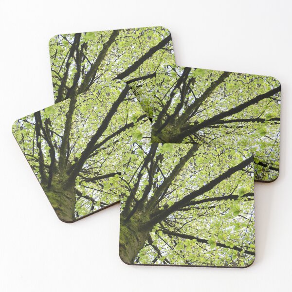 Item preview, Tree Canopy 2 designed and sold by Tjaša Rome.