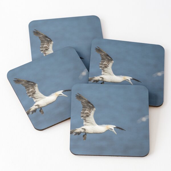 Item preview, Northern gannet flying above the top of the cliff designed and sold by wellsie82.