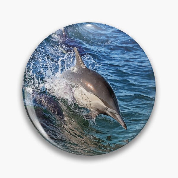 Item preview, Grey and White Spinner Dolphin designed and sold by PlanetPrints.