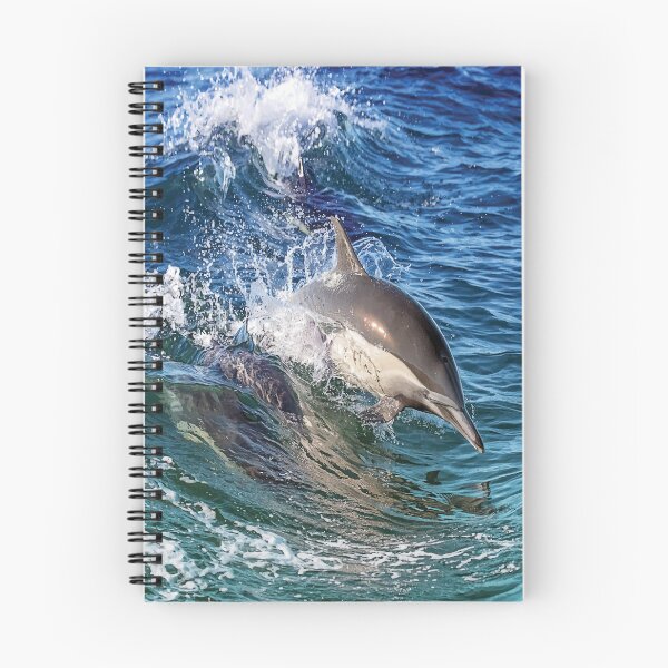 Item preview, Grey and White Spinner Dolphin designed and sold by PlanetPrints.