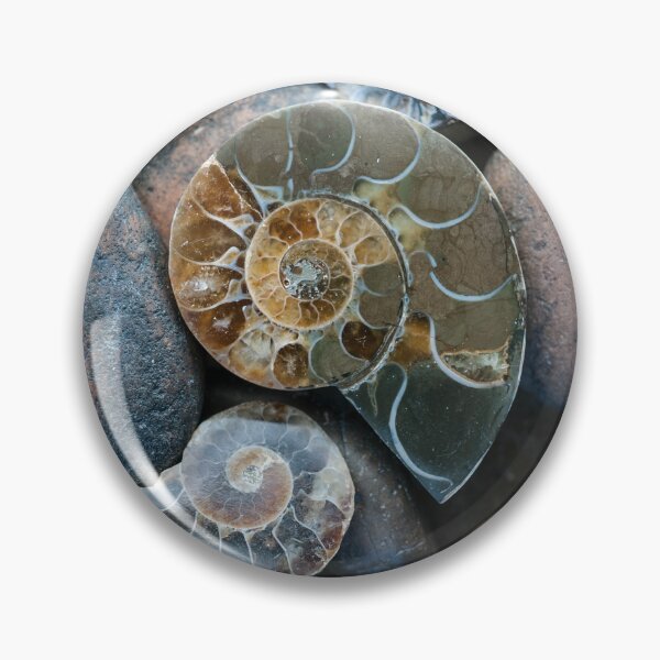 Item preview, Fossil And Stone designed and sold by Elena Ray.