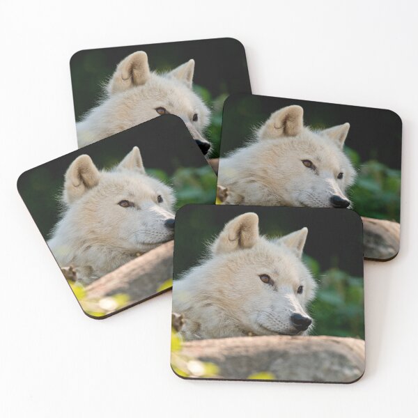 Artikelvorschau, Arctic Wolf entworfen und verkauft von WolvesOnly.