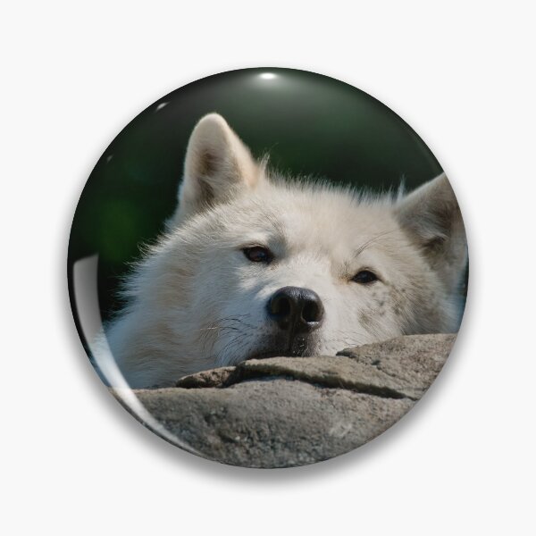 Item preview, Arctic Wolf designed and sold by WolvesOnly.