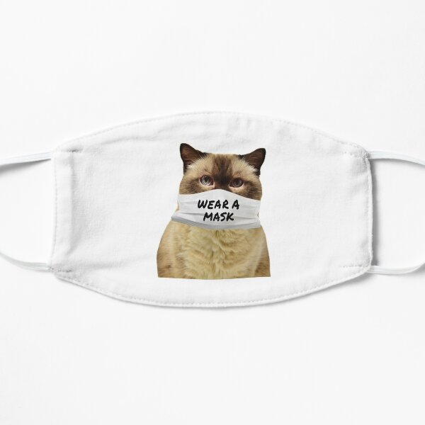 Cute Cat In A Mask Flat Mask