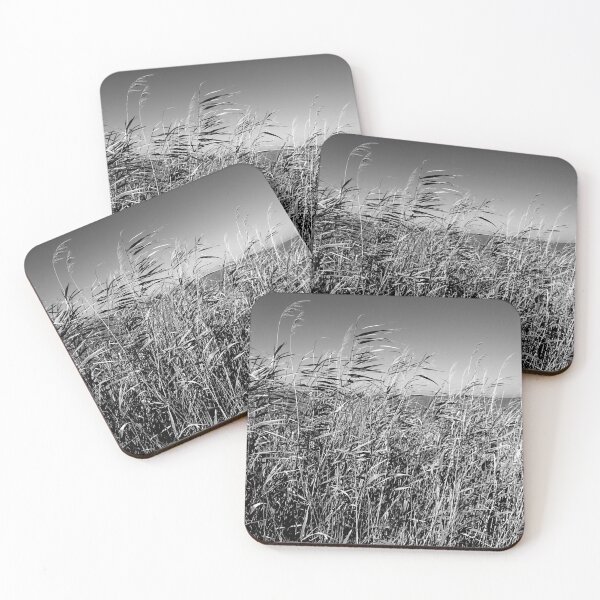 Item preview, Reeds by the lagoon, Lefkada, monochrome designed and sold by paulboizot.