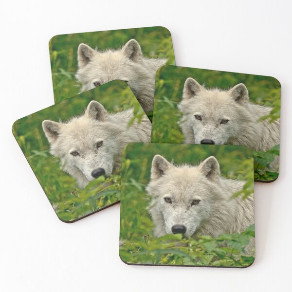 Artikelvorschau, Arctic Wolf entworfen und verkauft von WolvesOnly.