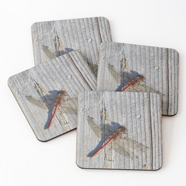 Item preview, Vagrant darter on gray wood designed and sold by Jouko Lehto Photography.