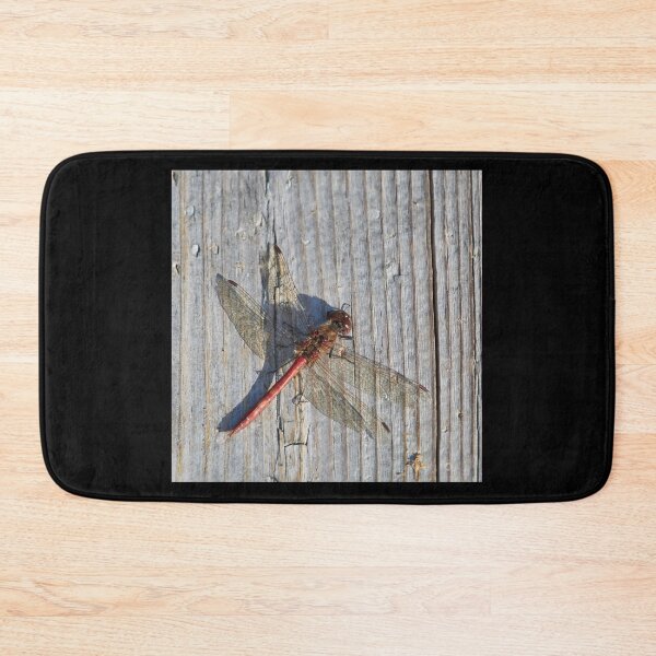 Item preview, Vagrant darter on gray wood designed and sold by Jouko Lehto Photography.