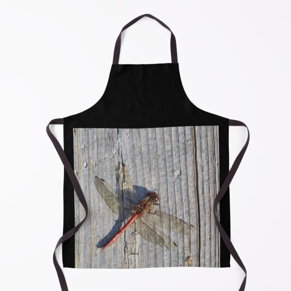 Item preview, Vagrant darter on gray wood designed and sold by Jouko Lehto Photography.