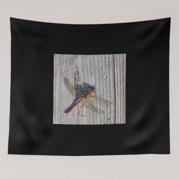 Item preview, Vagrant darter on gray wood designed and sold by Jouko Lehto Photography.