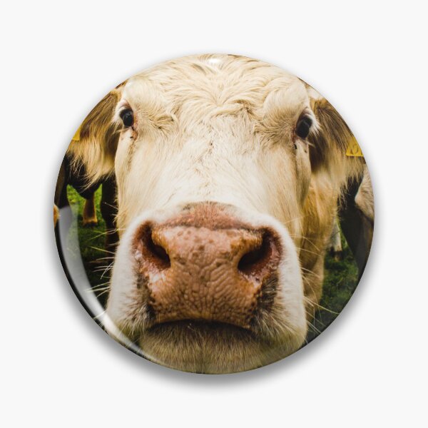 Item preview, Nosey cow designed and sold by kestellimagery.