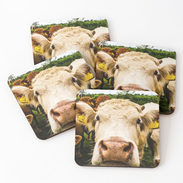 Item preview, Nosey cow designed and sold by kestellimagery.