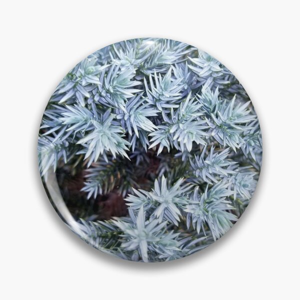 Item preview, Blue Juniper  designed and sold by MooseDogPhotos.