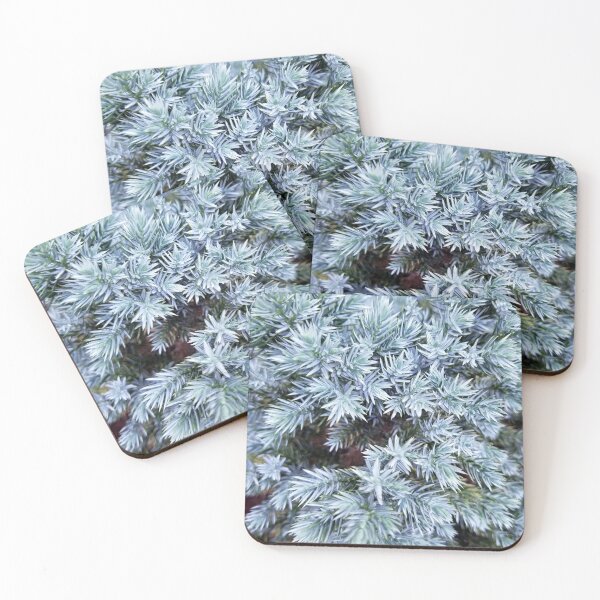 Item preview, Blue Juniper  designed and sold by MooseDogPhotos.