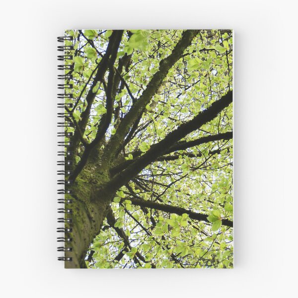 Item preview, Tree Canopy 2 designed and sold by Tjaša Rome.