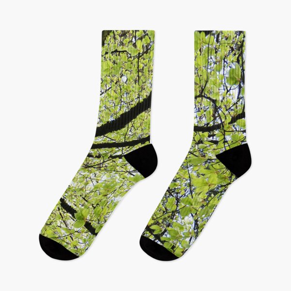 Item preview, Tree Canopy 2 designed and sold by Tjaša Rome.