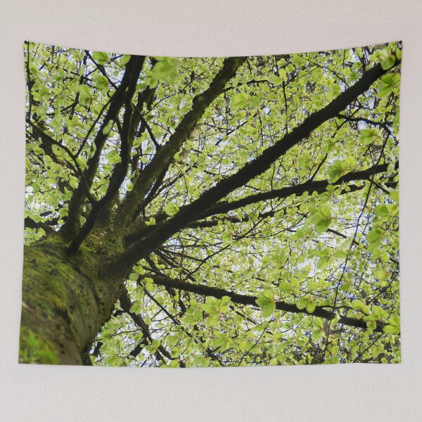 Item preview, Tree Canopy 2 designed and sold by Tjaša Rome.