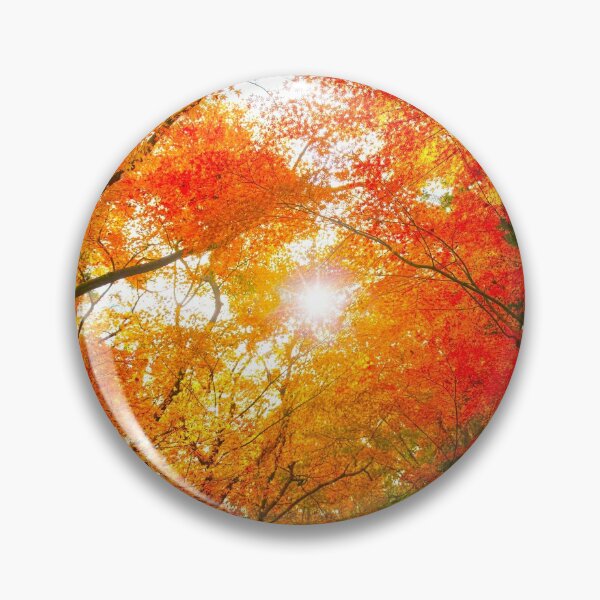 Item preview, Brought colorful Fall Colors With Sun in Backgound designed and sold by fineartprints1.