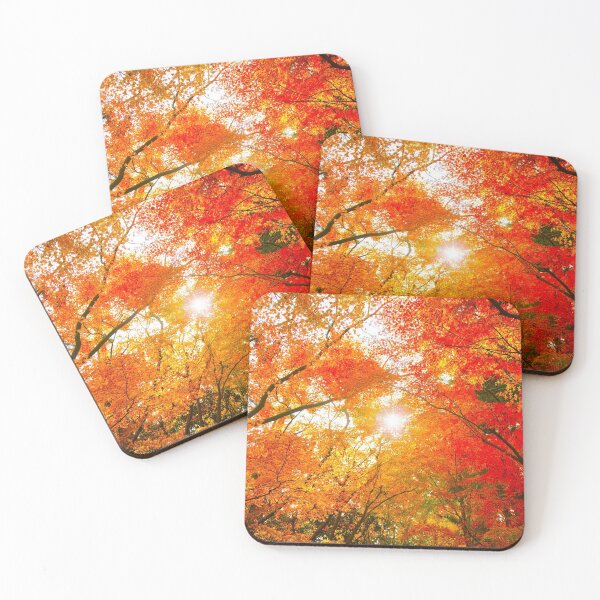 Item preview, Brought colorful Fall Colors With Sun in Backgound designed and sold by fineartprints1.
