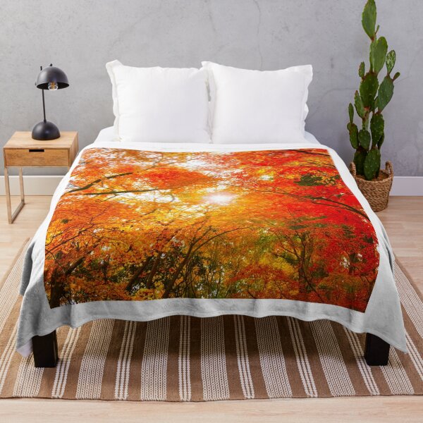 Item preview, Brought colorful Fall Colors With Sun in Backgound designed and sold by fineartprints1.