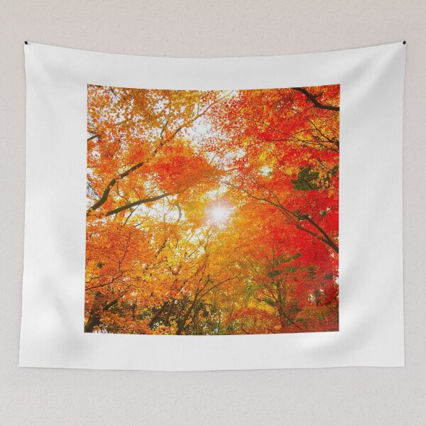 Item preview, Brought colorful Fall Colors With Sun in Backgound designed and sold by fineartprints1.