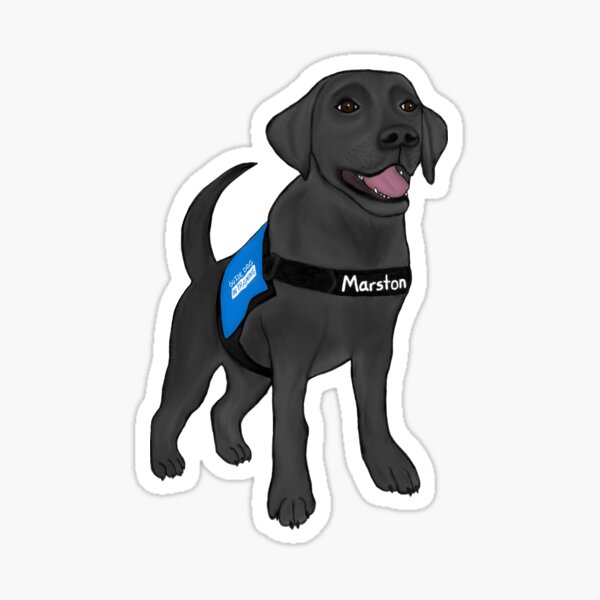 Marston (Blindenhund im Training) Sticker