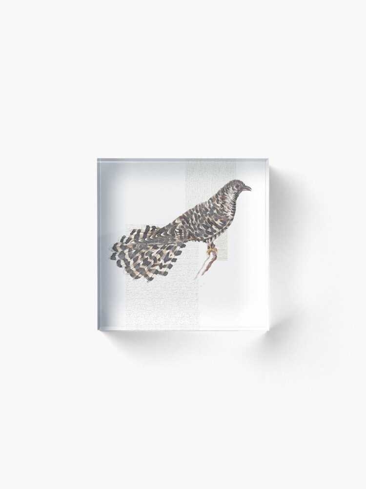 Alternate view of Cuckoo, cuckoo Acrylic Block