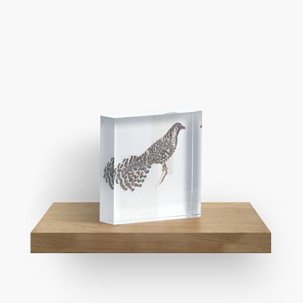 Cuckoo, cuckoo Acrylic Block