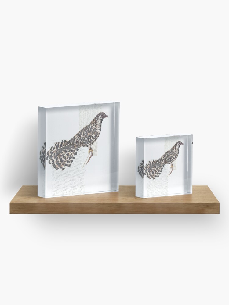 Alternate view of Cuckoo, cuckoo Acrylic Block