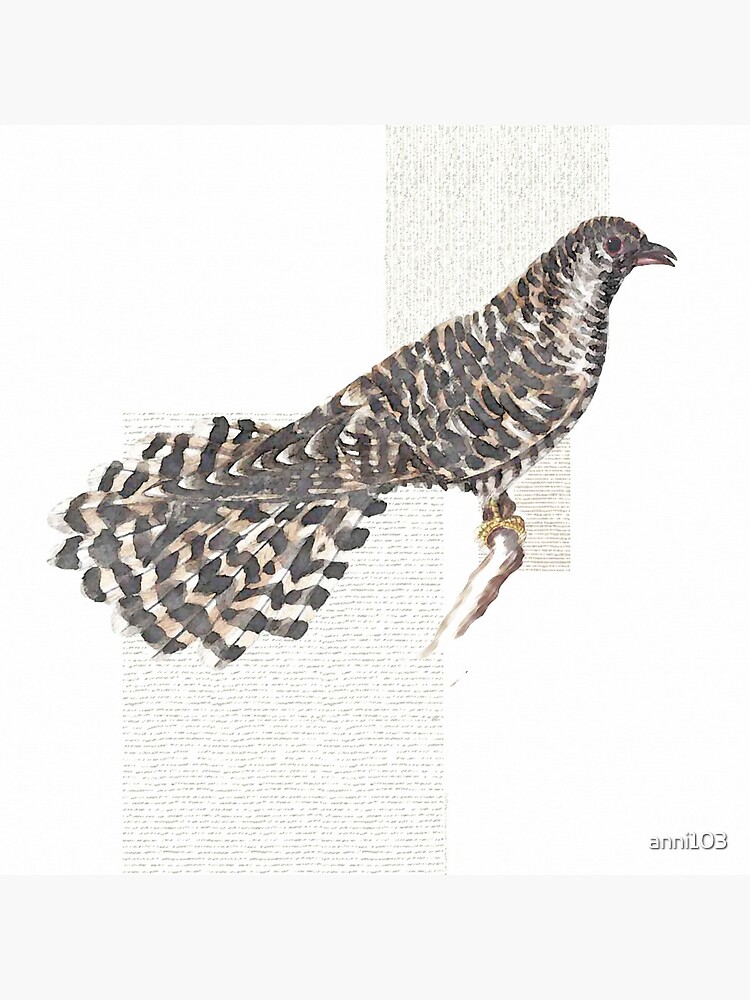 Cuckoo, cuckoo by anni103