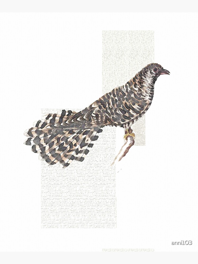 Cuckoo, cuckoo by anni103