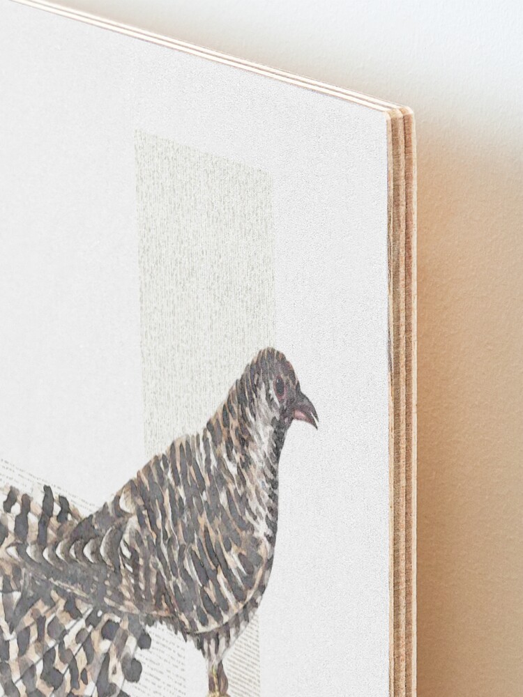 Alternate view of Cuckoo, cuckoo Mounted Print