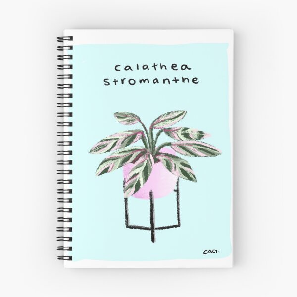 Item preview, Calathea by Carolina Andrade designed and sold by ArteConCausa.