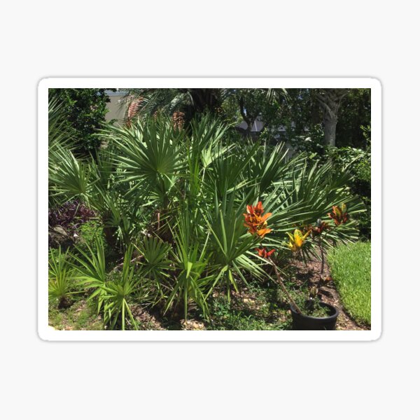 Florida Gardens Sticker