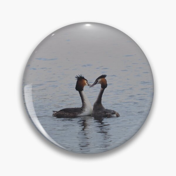 Item preview, Grebes with necks making a heart shape designed and sold by MendipBlue.