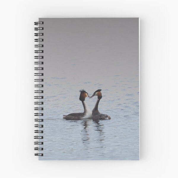 Item preview, Grebes with necks making a heart shape designed and sold by MendipBlue.