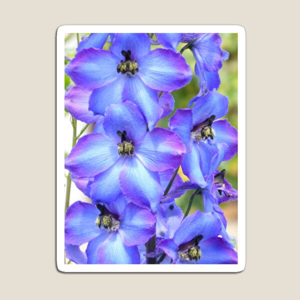 Item preview, delphinium designed and sold by Kriti68.