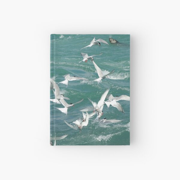 Arctic Terns fishing (Jokulsarlon) Hardcover Journal
