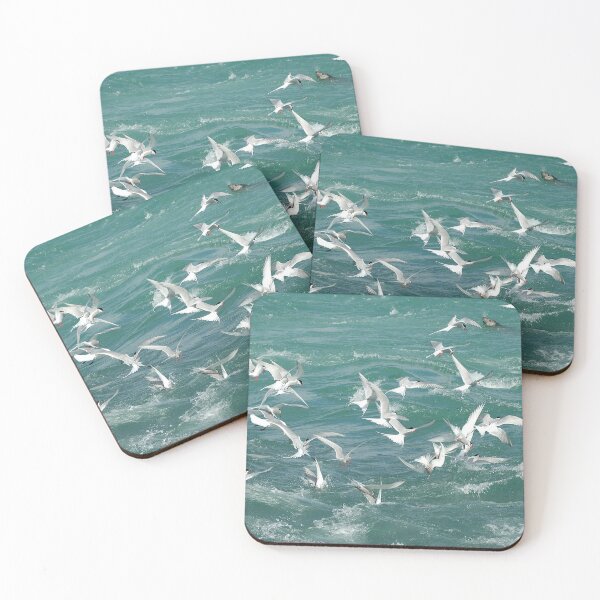 Item preview, Arctic Terns fishing (Jokulsarlon) designed and sold by PFranklinImages.