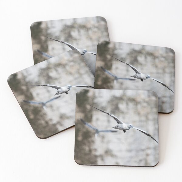Item preview, Northern gannet filling the frame designed and sold by wellsie82.