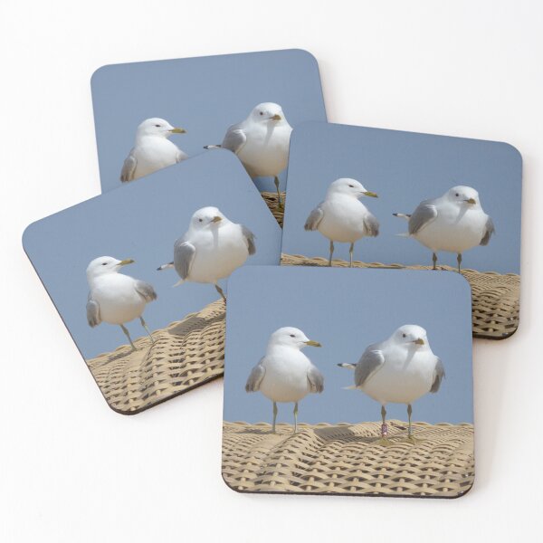 Item preview, Seagulls on a beach chair designed and sold by Kriti68.