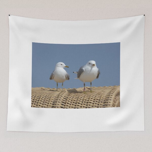 Item preview, Seagulls on a beach chair designed and sold by Kriti68.