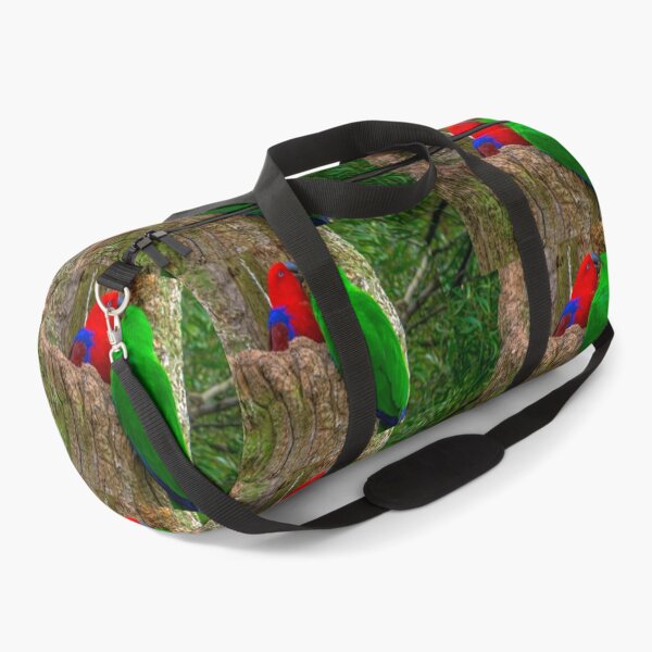 Item preview, Eclectus Parrots designed and sold by Steven Jodoin.