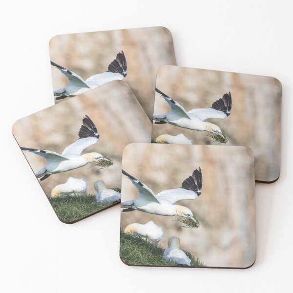Item preview, Northern gannet bring grass back to its nest designed and sold by wellsie82.