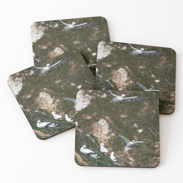 Item preview, Northern gannet slows to land designed and sold by wellsie82.