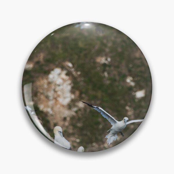 Item preview, Northern gannet slows to land designed and sold by wellsie82.