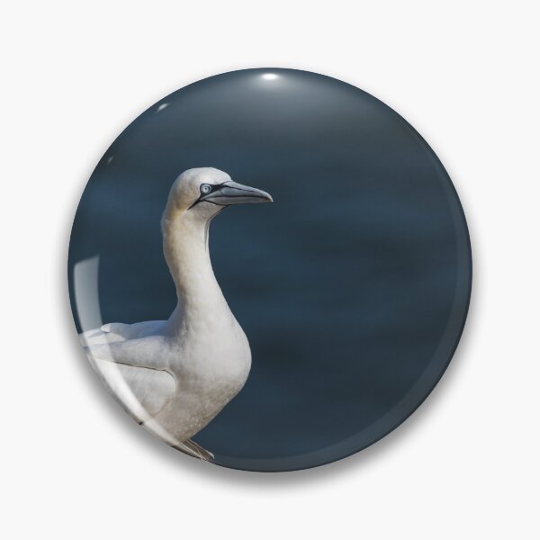 Item preview, Northern gannet gazing into the distance designed and sold by wellsie82.