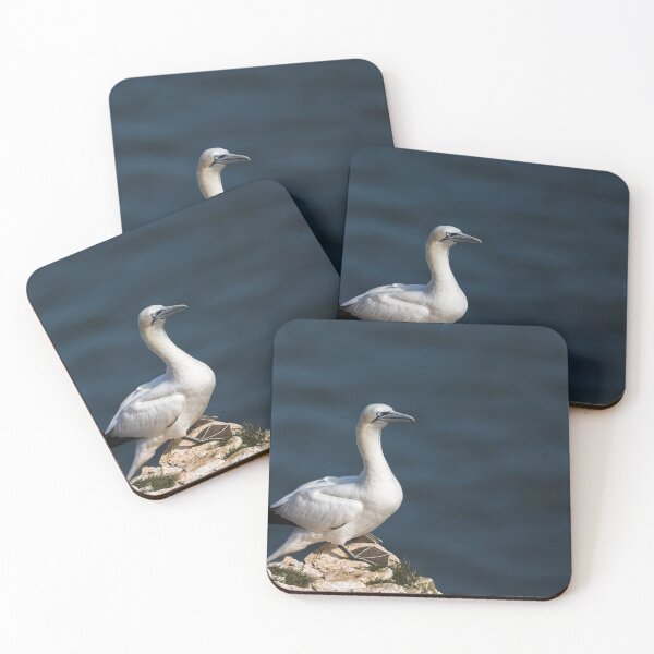 Item preview, Northern gannet gazing into the distance designed and sold by wellsie82.